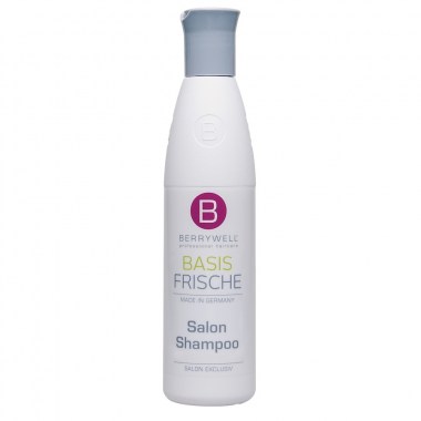 B18106-SALON